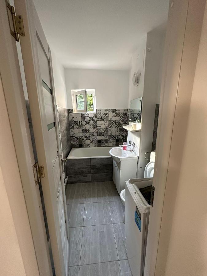 Apartament Rovine Крайова Екстер'єр фото